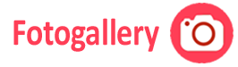 Fotogallery
